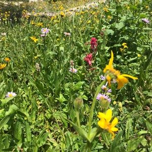 Find me on Instagram for more